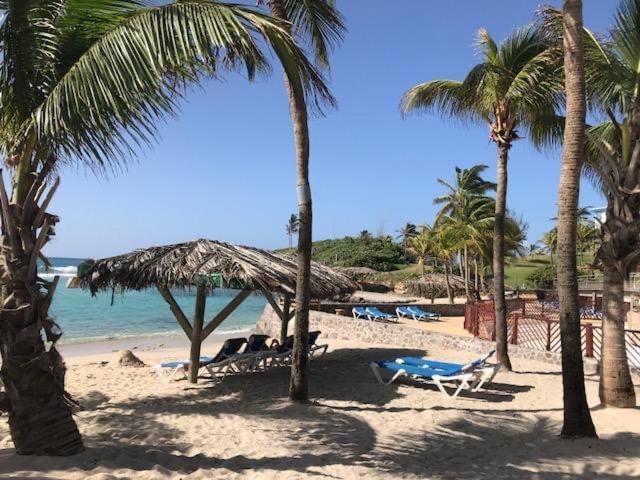 Gwada Cocoon & Blue Lagoon Studios Saint-Francois  Exterior photo